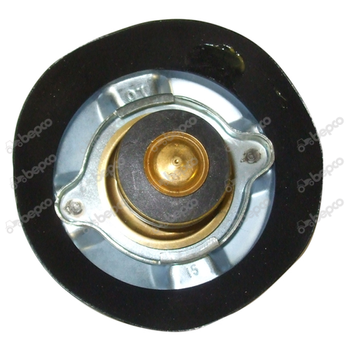 Korek Chłodnicy Ciśnienia 1.03 Bar