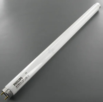 Philips świetlówka fluoroscencyjna T8 12V 40W Bi Pin biała