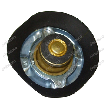 Korek Chłodnicy Ciśnienie 0.69 Bar